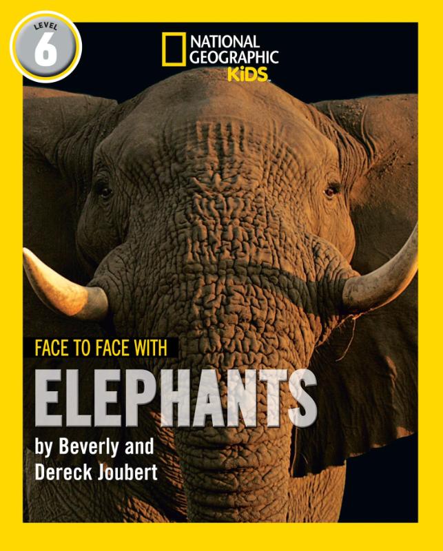 Face to Face with Elephants