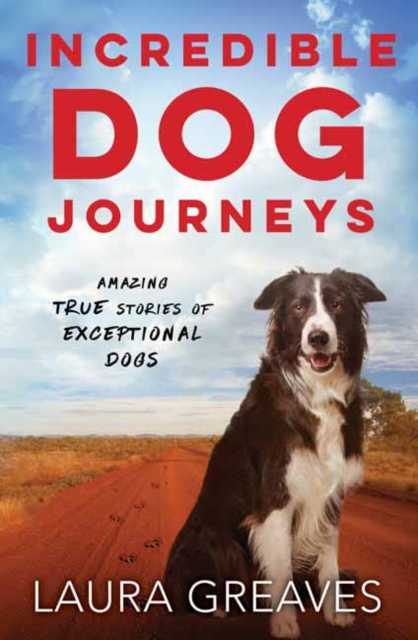 Incredible Dog Journeys