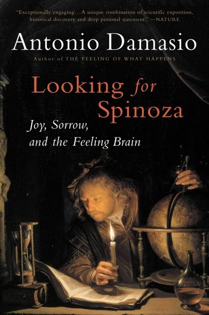 Looking For Spinoza