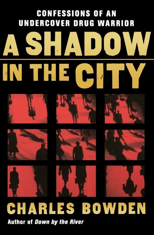 A Shadow in the City