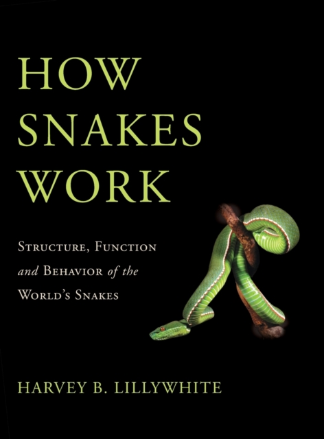 How Snakes Work