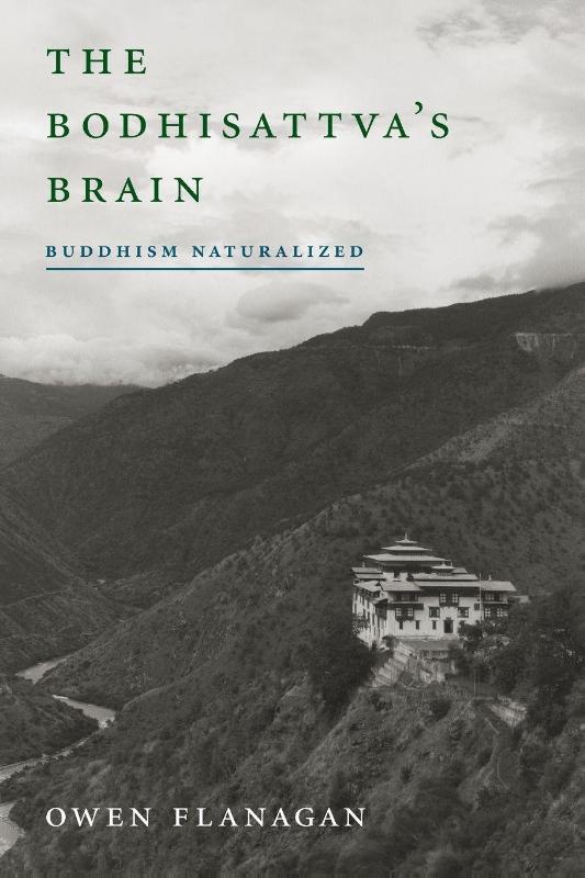 The Bodhisattva's Brain