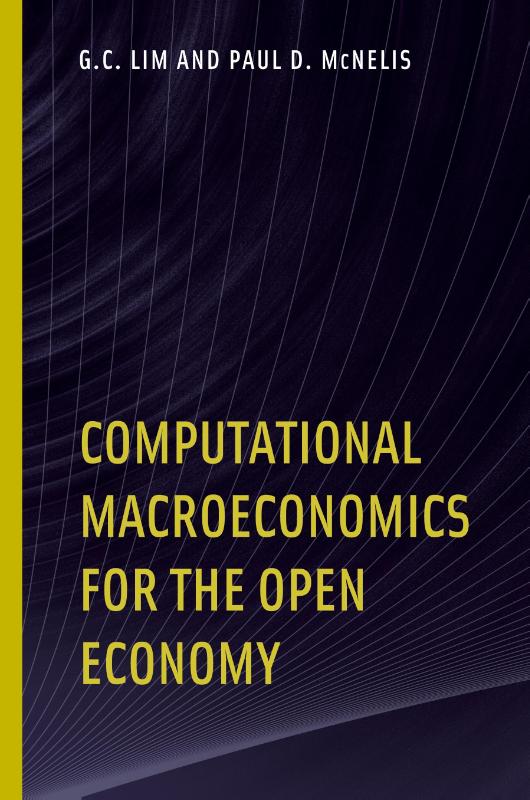 Computational Macroeconomics for the Open Economy