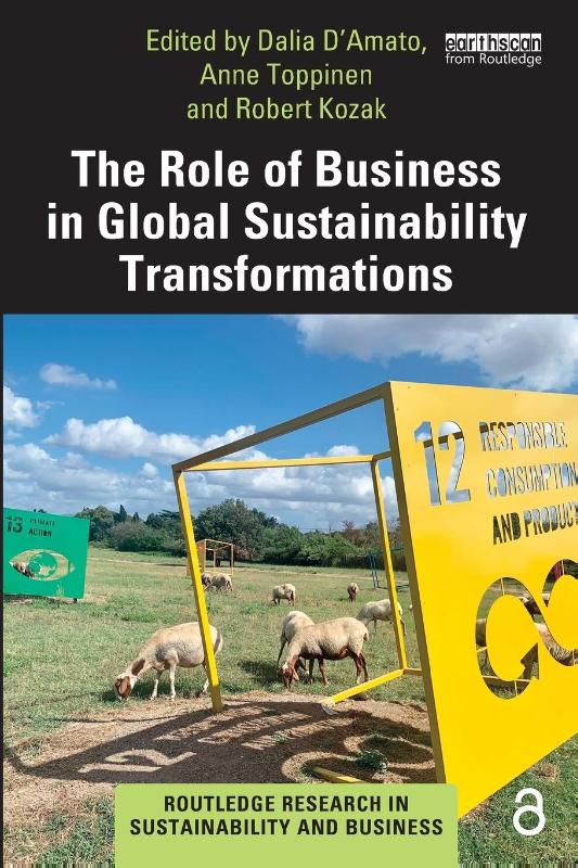 The Role of Business in Global Sustainability Transformations