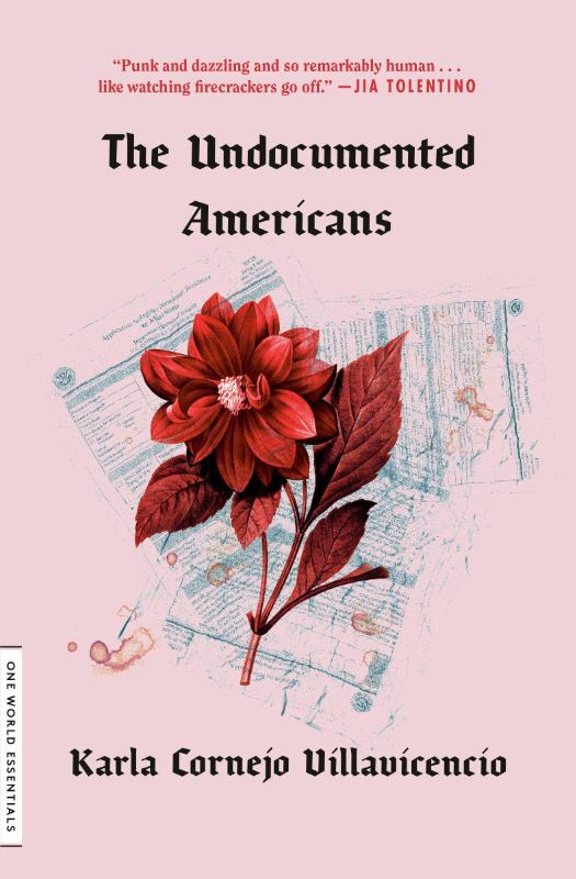 The Undocumented Americans