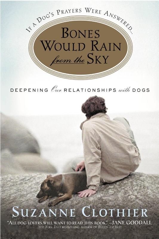 Clothier, S: Bones Would Rain from the Sky