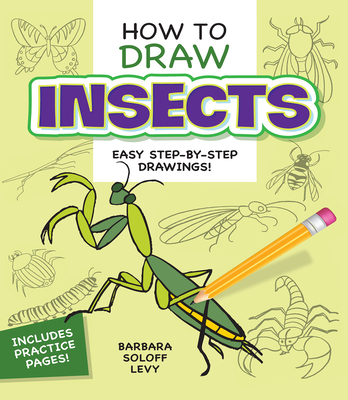How to Draw Insects