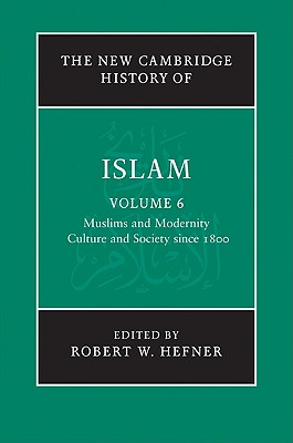 The New Cambridge History of Islam