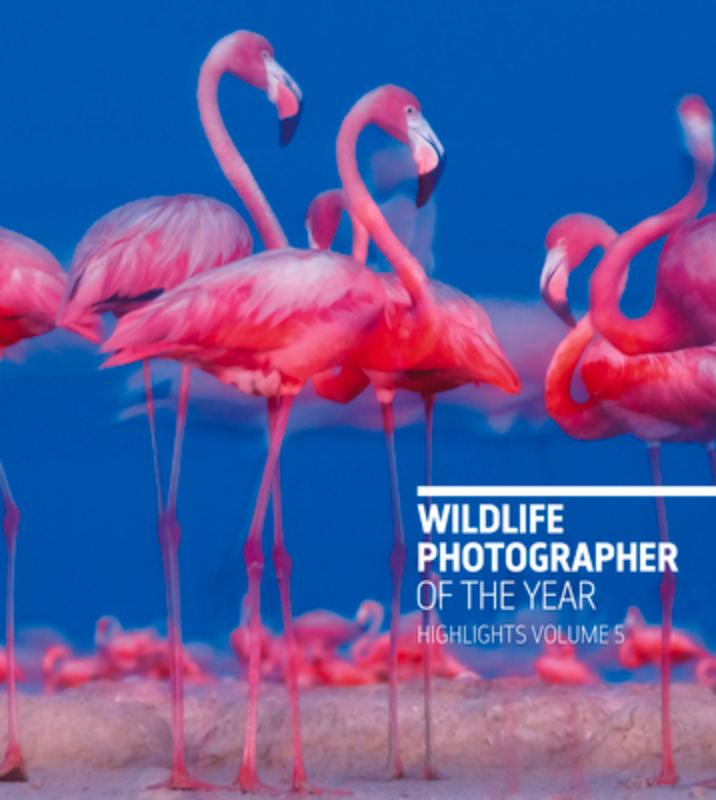 Wildlife Photographer of the Year: Highlights Volume 5