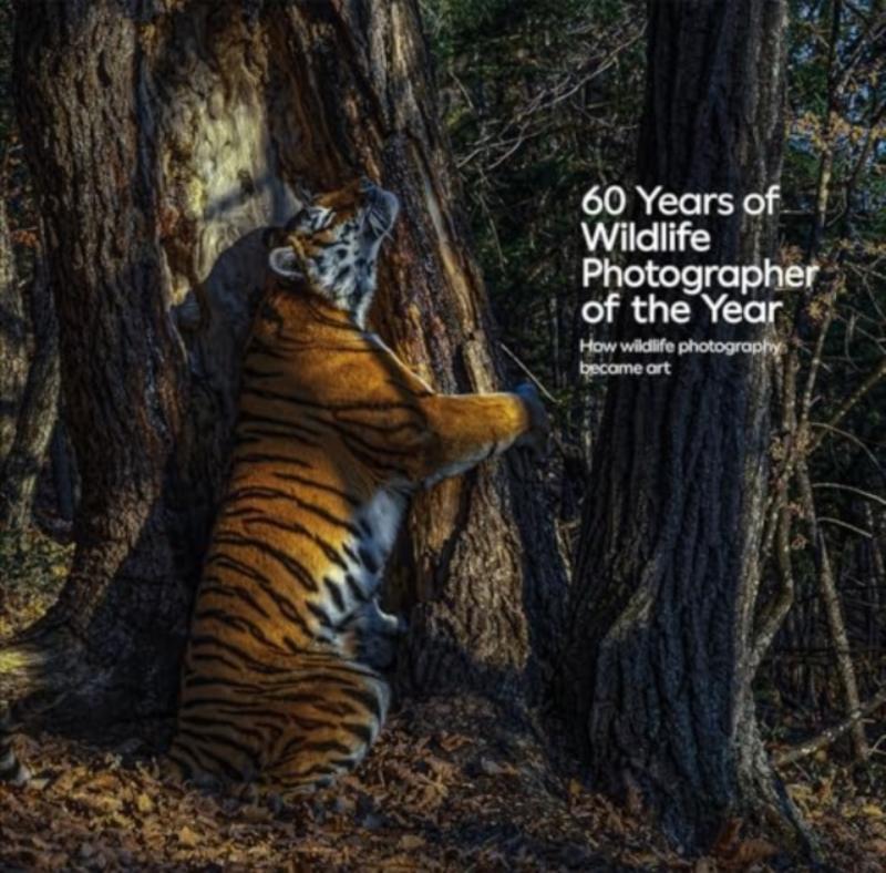 60 Years of Wildlife Photographer of the Year