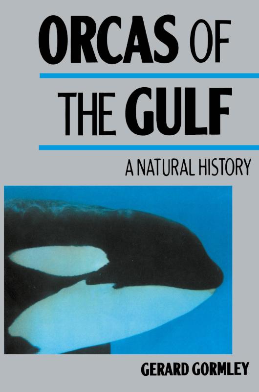 Orcas of the Gulf