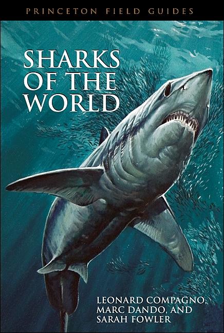 Compagno, L: Sharks of the World