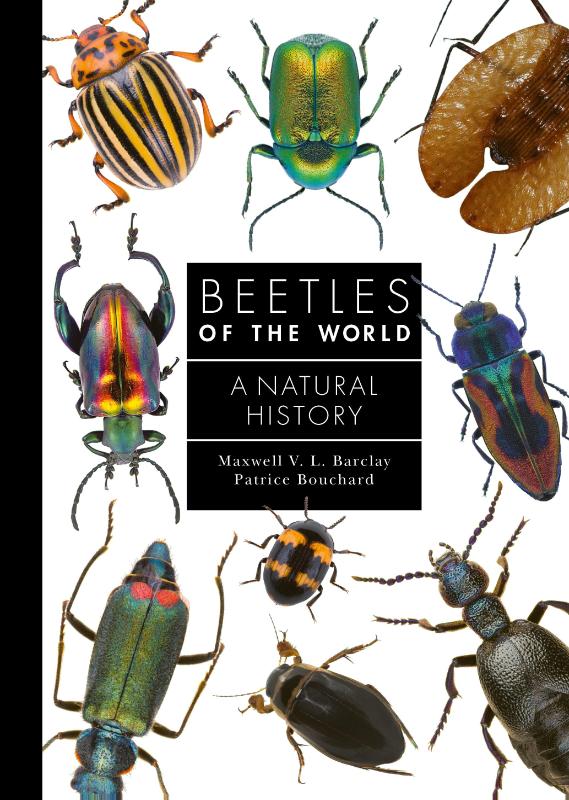 Beetles of the World