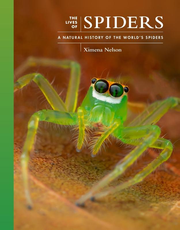 The Lives of Spiders