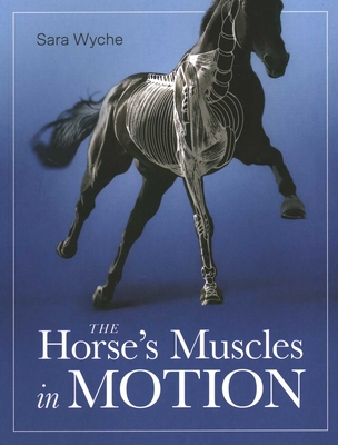Horse's Muscles in Motion