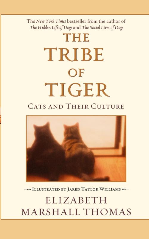The Tribe of Tiger