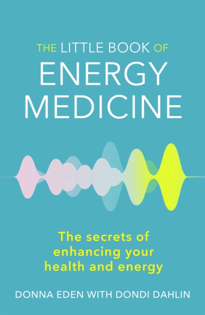 The Little Book of Energy Medicine