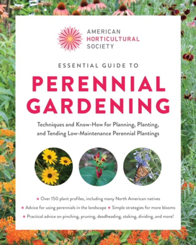Essential Guide to Perennial Gardening