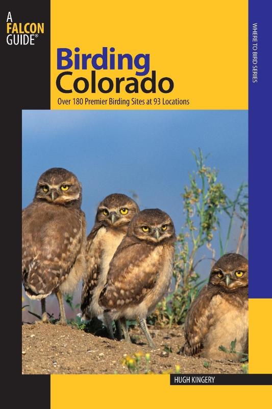 Birding Colorado