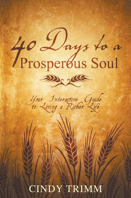 40 Days to a Prosperous Soul
