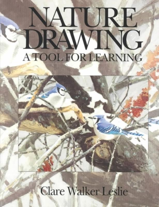 Nature Drawing: A Tool for Learning