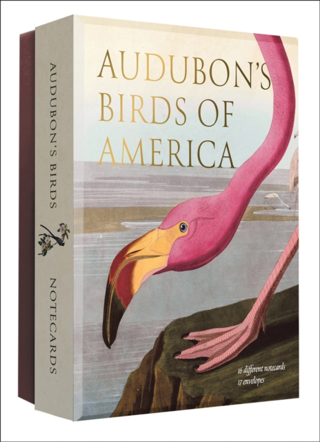 Audubon's Birds of America - Notecard Set
