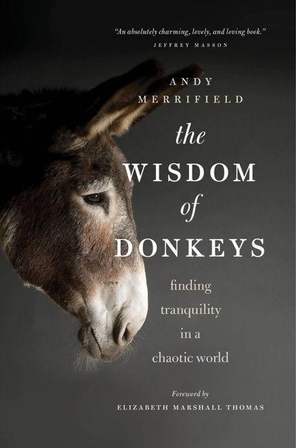 WISDOM OF DONKEYS