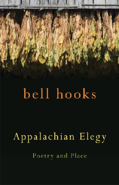 Appalachian Elegy
