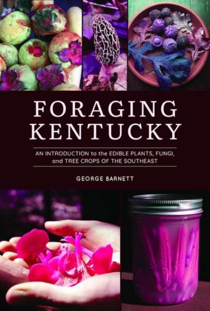 Foraging Kentucky