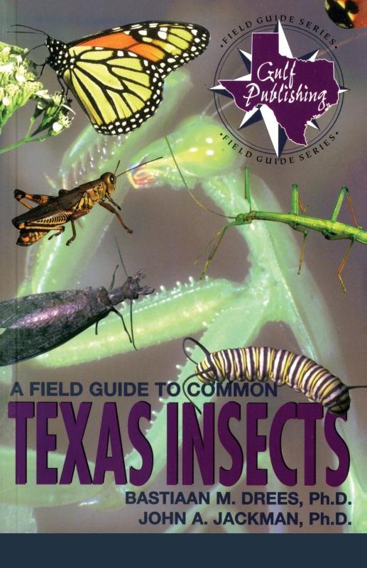 A Field Guide to Common Texas Insects
