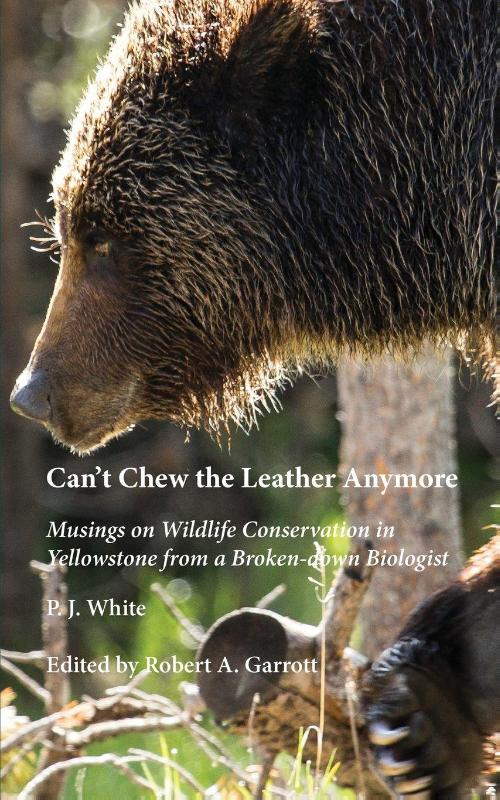 Can't Chew the Leather Anymore