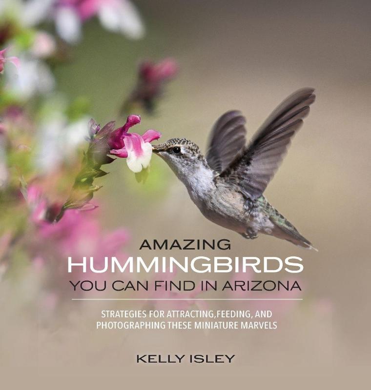 Isley, K: Amazing Hummingbirds You Can Find in Arizona