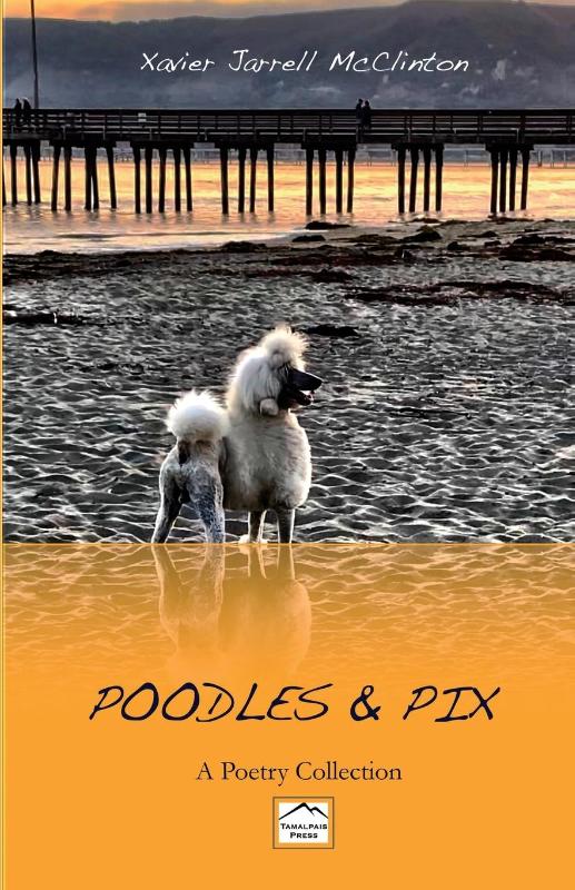 Poodles & Pix