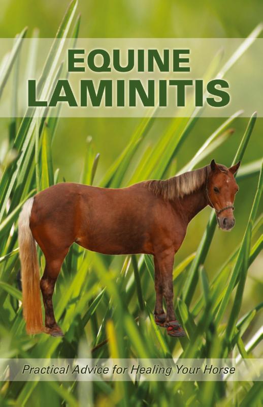 Equine Laminitis