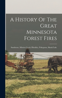 A History Of The Great Minnesota Forest Fires: Sandstone, Mission Creek, Hinckley, Pokegama, Skunk Lake