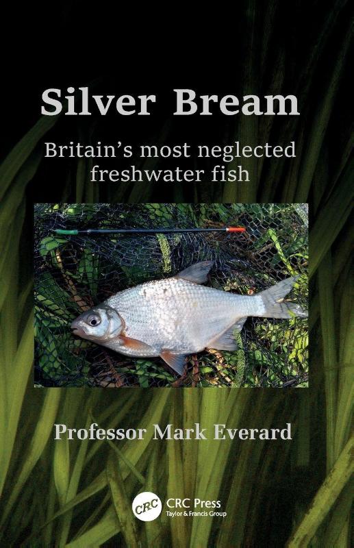 Silver Bream