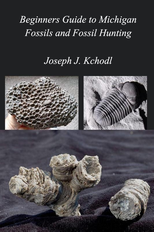 Beginners Guide to Michigan Fossils and Fossil Hunting