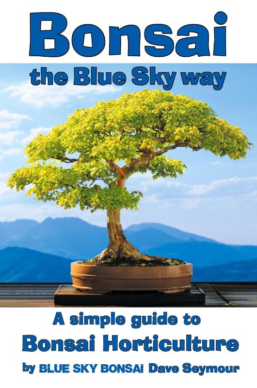 Bonsai, the Blue Sky way