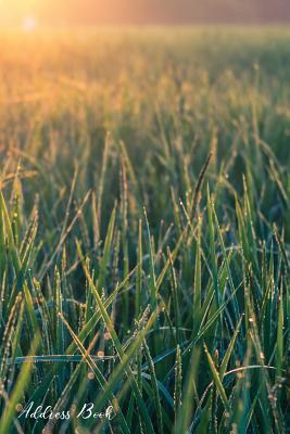 Address Book: For Contacts, Addresses, Phone, Email, Note, Emergency Contacts, Alphabetical Index With Morning Sunshine Lush Green Fields Background