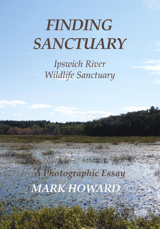 Finding Sanctuary