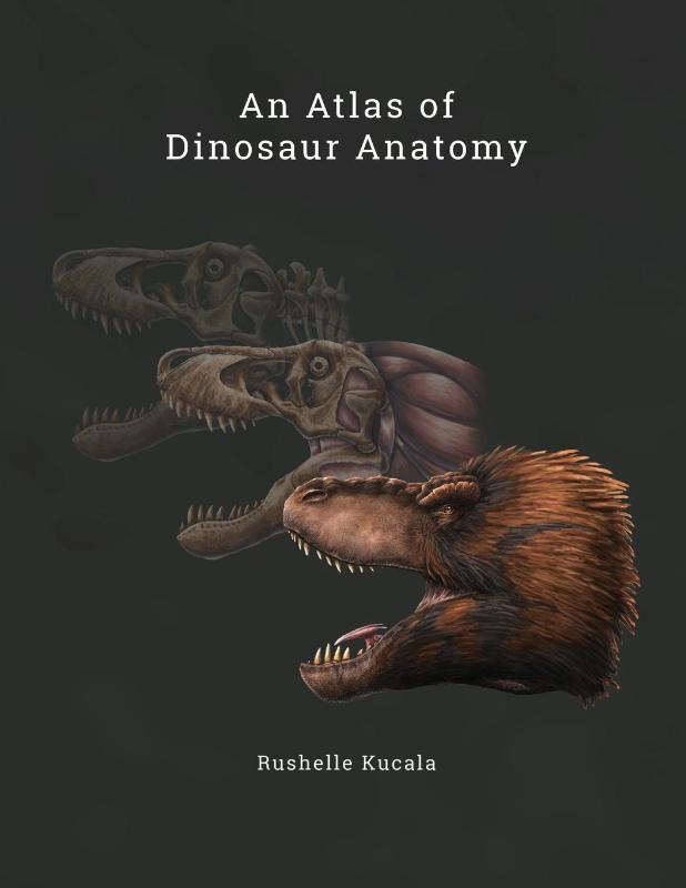 An Atlas of Dinosaur Anatomy