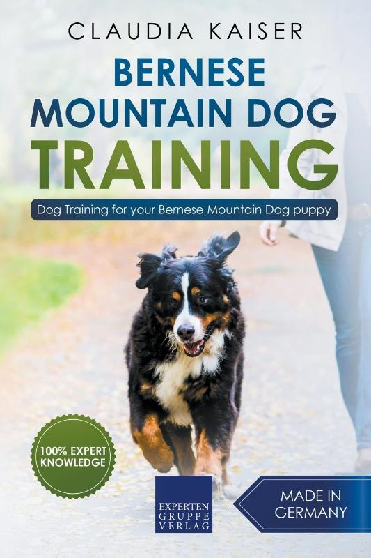 Bernese Mountain Dog Training