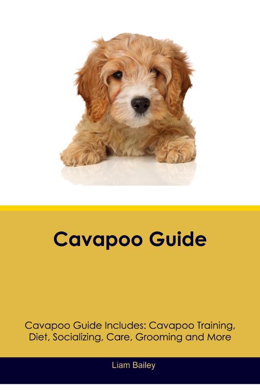 Cavapoo Guide Cavapoo Guide Includes