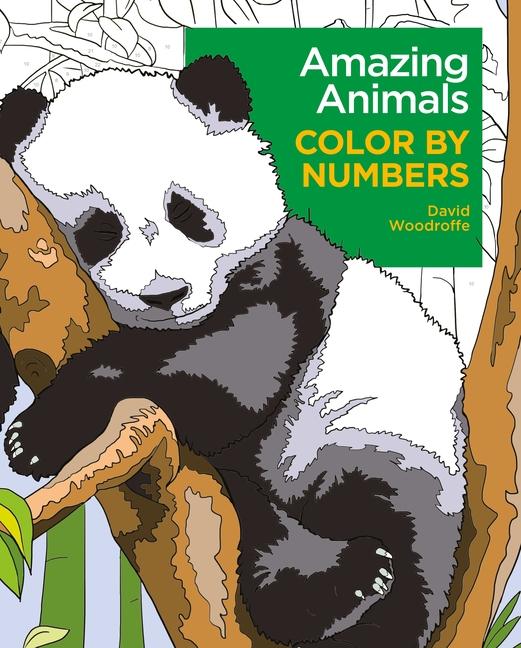 Woodroffe, D: Amazing Animals Color by Numbers