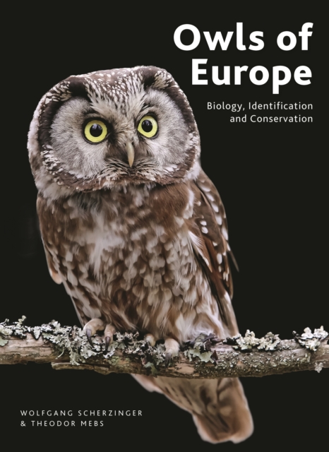 Owls of Europe
