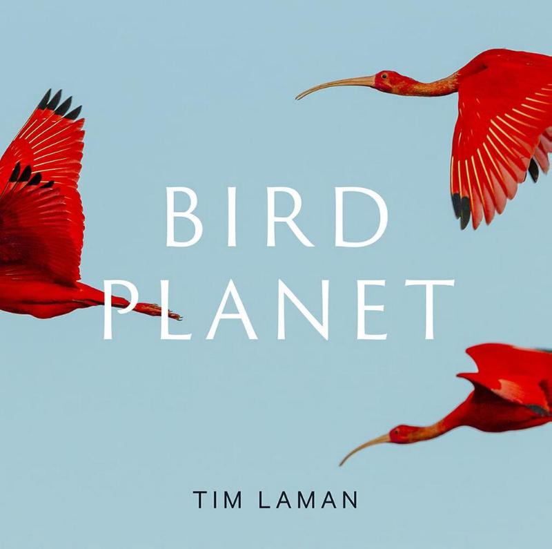 Bird Planet