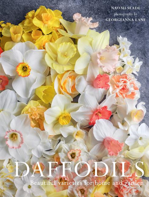 Slade, N: Daffodils