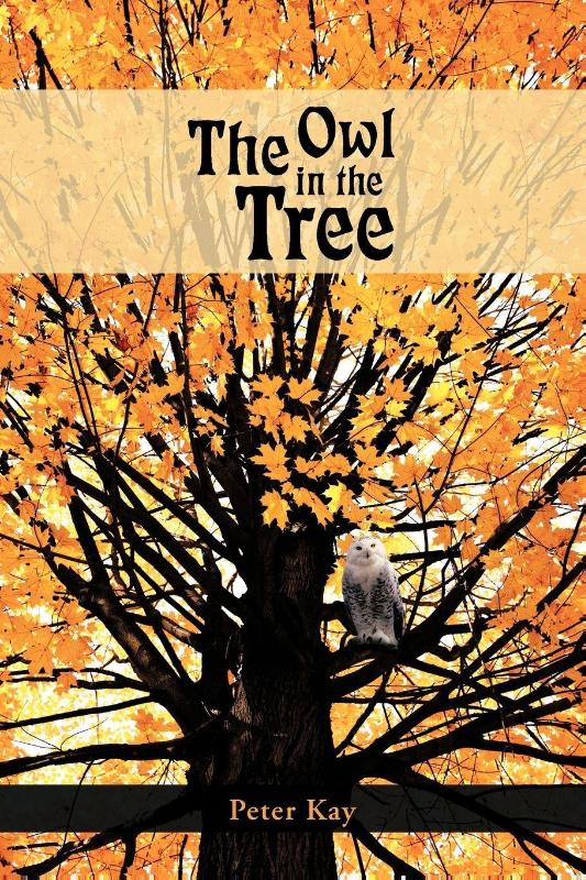 The Owl in the Tree