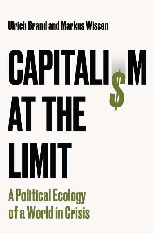 Capitalism at the Limit