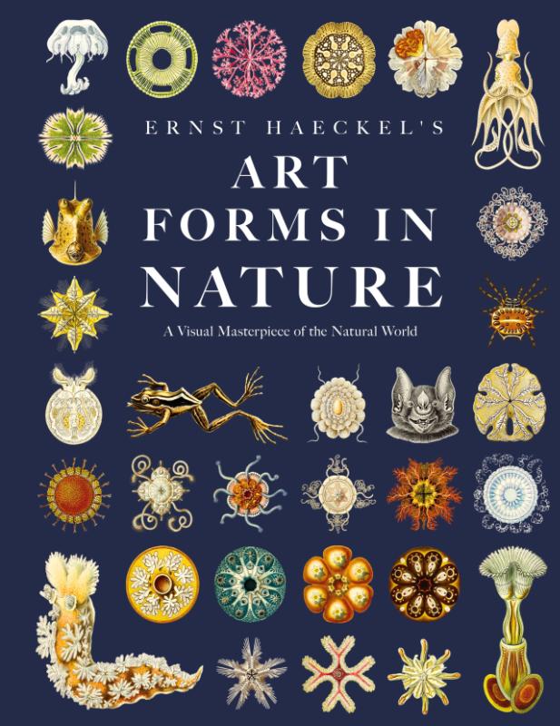 Ernst Haeckel's Art Forms in Nature
